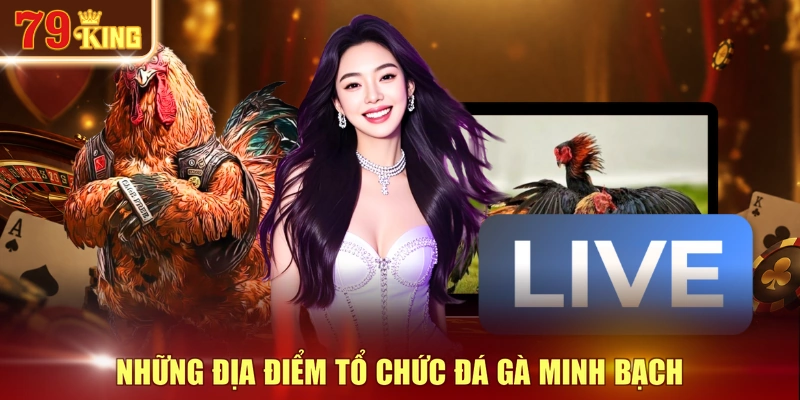 Những địa điểm tổ chức đá gà minh bạch